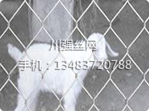養(yǎng)殖護欄網