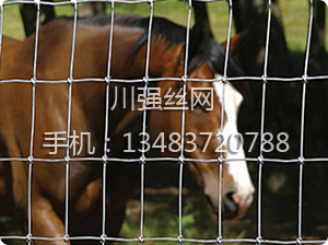 養(yǎng)殖護欄網